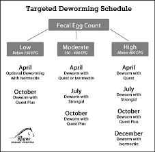 Horse Deworming Schedule Google Search Horse Worming