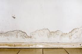 Of course, even if the concrete is covered in dust, mold will not grow without sufficient moisture. Basement Mold Removal What You Need To Know Rock Environmental