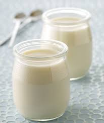 homemade yogurt in a yogurt maker