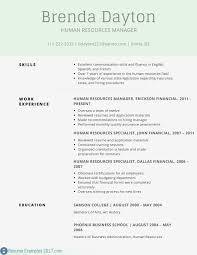 65 Inspiring Collection Of Sample Resume Professional