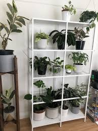 Ikea Plants Ikea Shelf Unit