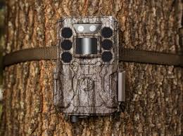 The best 2 trail cameras that send pictures to your phone. Trail Cameras Bushnell