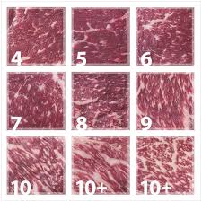 Meat Grading Chart Imperial Wagyu Beef
