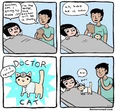 9,991 likes · 500 talking about this · 595 were here. Doctor Cat Doctor Cat