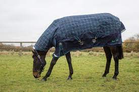 mark todd heavyweight combo turnout rug