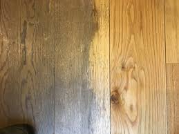 The quality of workmanship matters a lot when it comes to finishing your hardwood floors but beyond that, the quality of the materials used matters more! How To Care For Your Wood Floor Colltec Soltuions Ltd