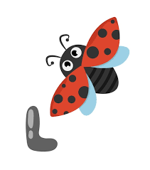 vector concept alphabet l ladybug