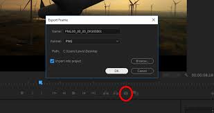 creating stills and pauses in resolve