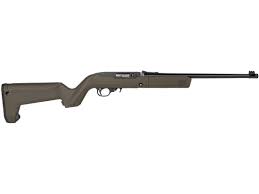 ruger 10 22 takedown semi automatic