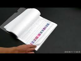 Dmc Color Chart Book For Diamond