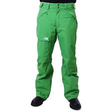The North Face Freedom Insulated Ski Pant Mens Peter Glenn