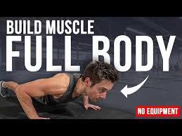 build muscle full body no equipment