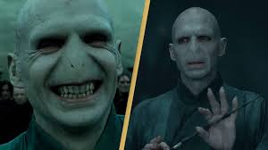 lord voldemort creation is terrifying