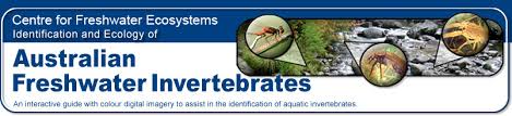 Identification And Ecology Of Autralian Freshwater Invertebrates