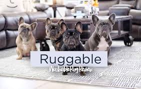 ruggable review the washable rug most