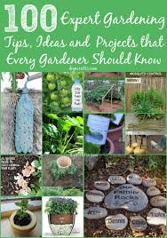 100 Expert Gardening Tips Ideas And