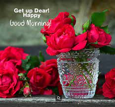 Get ready to explore the collection of beautiful flower images provided here! Good Morning Flowers Pictures For Whatsapp Hutomo