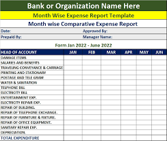 comparative expenses report template