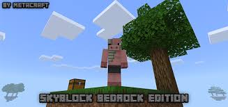 See ips, descriptions, and tags for each server, and vote for your favorite. Skyblock Bedrock Edition Minecraft Pe Maps