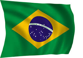 This list shows the flags of the 26 brazilian states and the federal district. Brazil National Flag What Does It Mean Natal