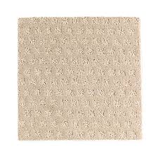 carpet selection waxmans carpet
