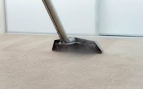 carpet cleaning spring tx d max
