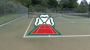 history of tennis courts carpet courts