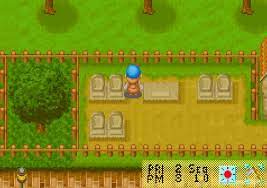 He lets him stay at the farm and he has a great time. Harvest Moon Friends Of Mineral Town Download Gamefabrique