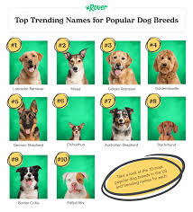top 100 most por dog names in 2022