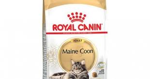 royal canin maine dry cat
