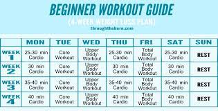 beginner workout plan