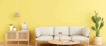 Best Paint Brands In India