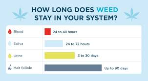 how long does weed stay in