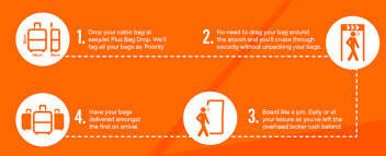 easyjet hand luge policy pay