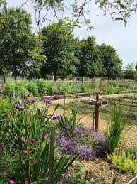 Community Garden Calvin Presbyterian