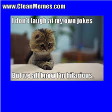 Change the text with your own words and try hundreds of selections in our font collection. Cute Kitten Memes Clean Novocom Top