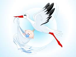 stork baby cartoon vector art