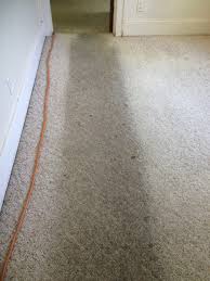 carpet cleaning ellicottville ny