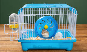 the best hamster cages for 2022