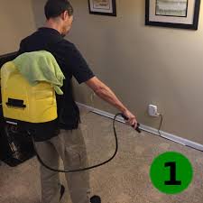 the citrusolution carpet cleaning