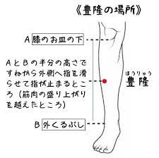 今月のツボ：豊隆（ほうりゅう）】 じめじめ蒸し蒸しする梅雨の季節…... - 漢方ひがしやま・漢方ひがしやま鍼灸サロン | Facebook