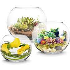 Terrarium Vase Glass Bubble Bowl