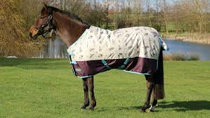 patterned horse rugs to feast your eyes