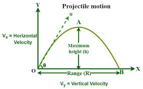 Projectile Motion For Vertical Velocity