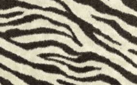 zebra print carpet fluffy carpets