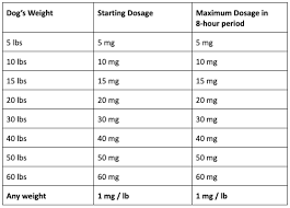 Treating Dog Anxiety With Benadryl What You Need To Know