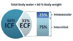 distribution of total body water tbw