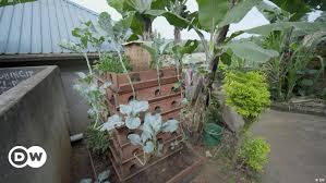 How Urban Gardening Can Help Kampala S
