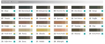 Color Charts Colorwheel Semi Permanent Micropigmentation