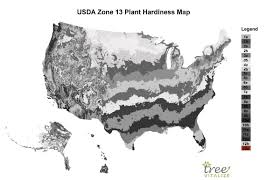 usda zone 13 where is it what to